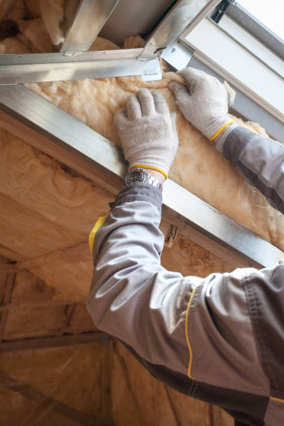 Best Cellulose Insulation in St Andrews, SC