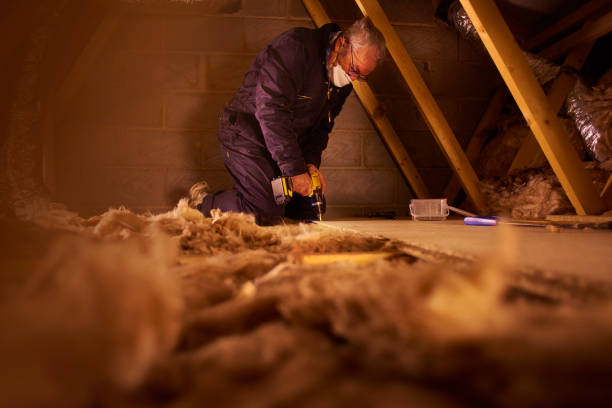 Best Specialized Insulation Services in St Andrews, SC